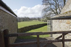 barnard castle ox pasture farm 32 sm.jpg
